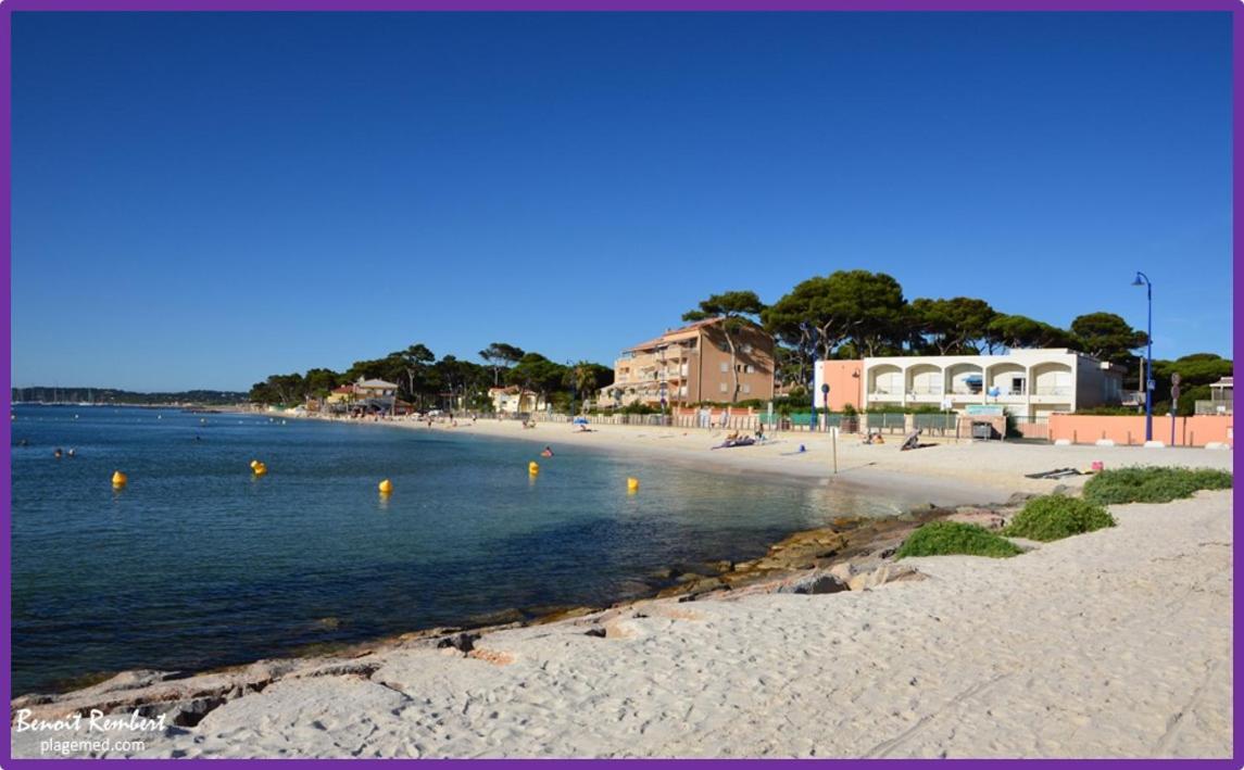 Apartment Port Duplex Plein Sud 200 M2 Et 100 M2 De Terrasse