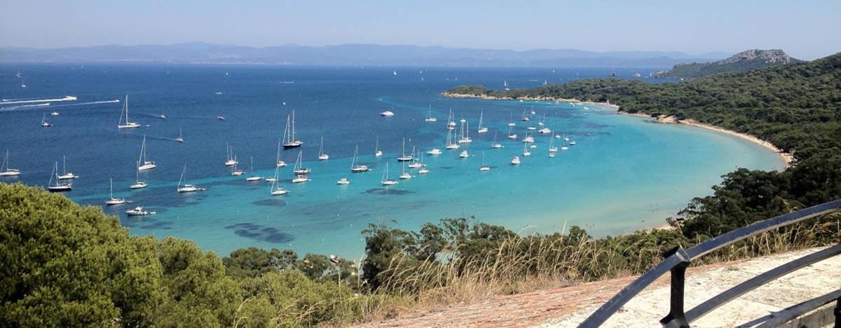 Port Duplex Plein Sud 200 M2 Et 100 M2 De Terrasse * Hyeres