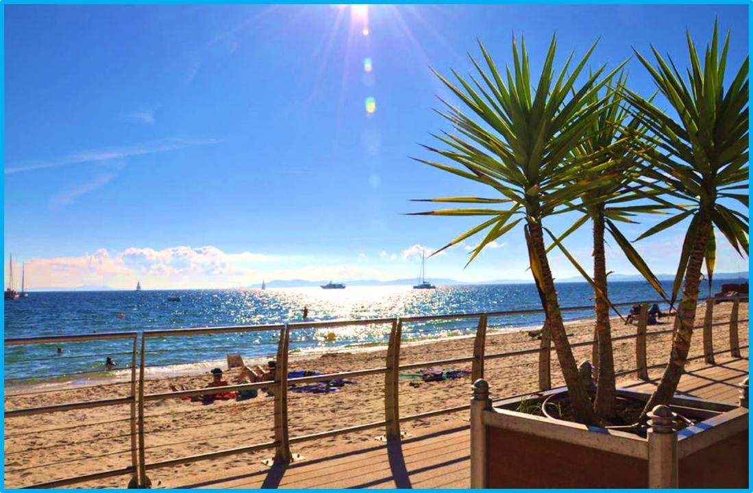 Appartement Port Duplex Plein Sud 200 M2 Et 100 M2 De Terrasse